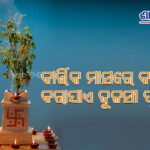 tulshi