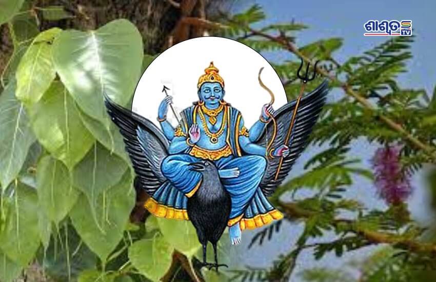 shanidev