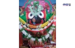 nabajoubana