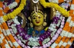 maa
