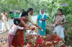 nagachaturthi