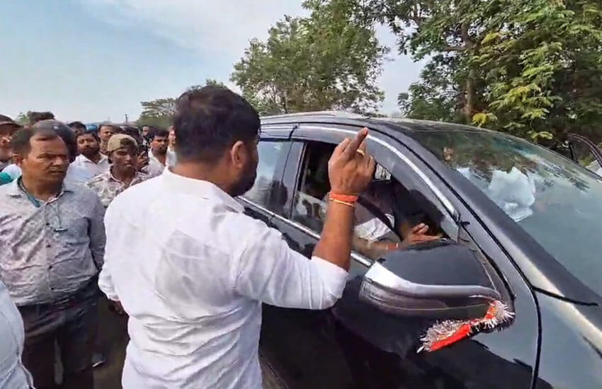mla