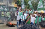bjd