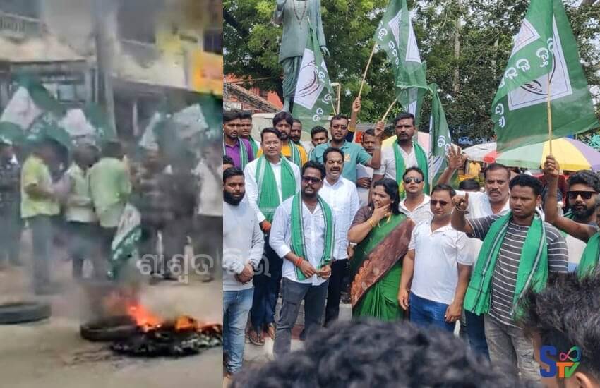 bjd