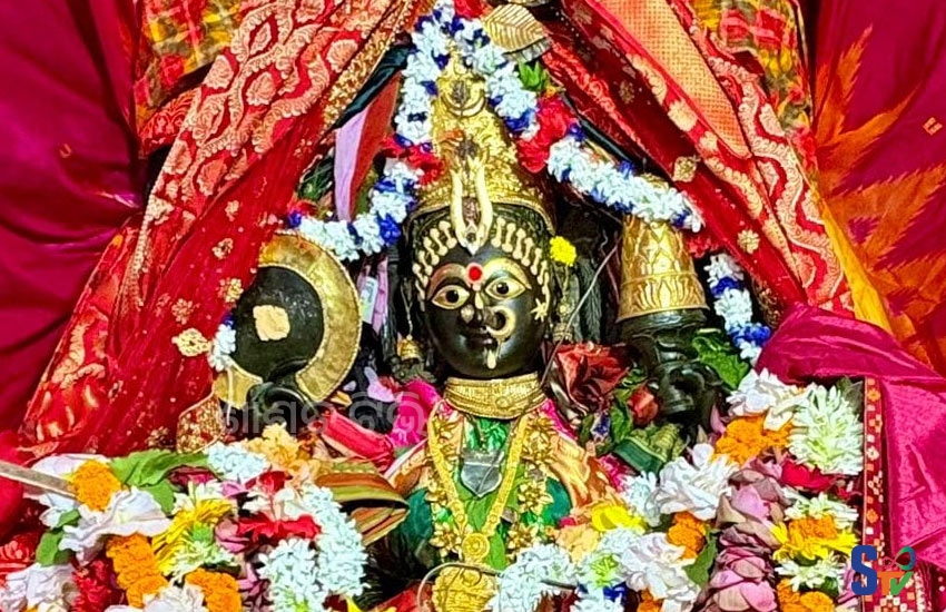 maa